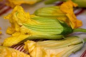 Maybe you would like to learn more about one of these? Cooking With Squash Flowers Tips For Harvesting Squash Flowers Squash Flowers Squash Blossom Zucchini Blossoms