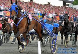 It's broken up into categories, such as the wellness gift guide, the lover's gift guide, and ridiculous but awesome. World Driving Championship Drivers Meet Horse Racing Alberta Facebook