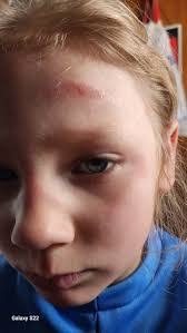 Britney Forrest's Instagram, Twitter & Facebook