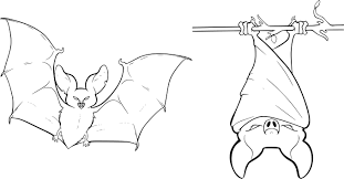 15 Impressionnant De Coloriage Chauve Souris Images Coloriage Halloween Coloriage Coloriage Chauve Souris