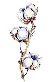 Flowers On Behance Akvarelnye Illyustracii Botanicheskie Illyustracii Botanicheskie Risunki