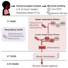 Respiratory viruses may evolve quite rapidly in the field. The Infant Nasopharyngeal Microbiome Impacts Severity Of Lower Respiratory Infection And Risk Of Asthma Development Sciencedirect