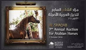 قائمة مزاد الشقب السابع للخيل العربية الأصيلة ٢٠١٦ arabian horse horses auction
