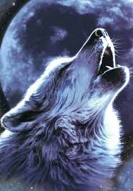 Pin On Wolves And Tigers And Bears