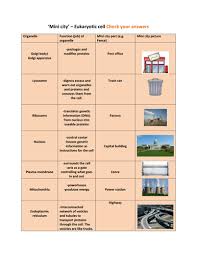 We did not find results for: Eukaryotic Cell Organelles Animal Mini City Teaching Resources