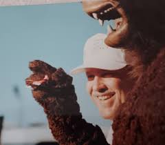 Air racing team pranks bill with bear