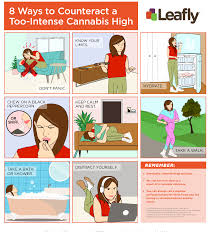Michael che, chelsea handler, ziwe and more awards hopefuls reveal secrets behind their tv projects. 8 Ways To Counteract A Too Intense Cannabis High Coolguides