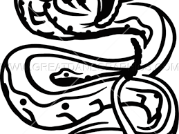 Snake tattoos, just like the animal they feature, can have a whole range of seemingly conflicting meanings. Snake Tattoo Clipart Transparent Snake Draw Tattoo Png Full Size Clipart 3712647 Pinclipart