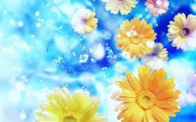 Concept of modern large hothouse with beautiful flowers. Yellow Flower Wallpapers Group 86