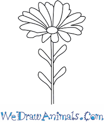 If you want to learn drawing flowers, you are in right place. How To Draw A Pink Flower