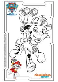 Yu gi oh 9 karneval. Paw Patrol Ausmalbilder Chase Und Sky Novocom Top