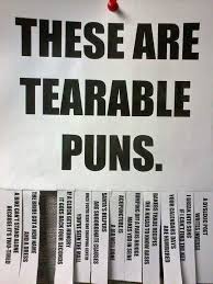 Everyone Likes A Pun Funny Puns Puns Haha Funny