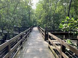 Scenic Mangroves Boardwalk At Pasir Ris Park Mangrove Swamp Mangrove Pasir Ris