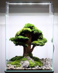 The Magic Tree In Nano Tank 30x30x35 Artificial Flower Arrangements Artificial Flowers Aquarium Setup