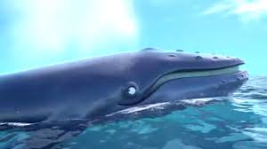 Check spelling or type a new query. The Tale Of The Humpback Whale Gruffalo The Snail The Whale Youtube