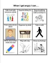 Image result for Angry Behavior