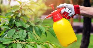 2 best garden sprayers 2020 comparison. The 5 Best Chemical Sprayers Of 2021 This Old House