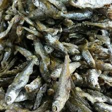 Di bawah ini admin telah merangkum harga tiket bus sinar jaya dengan beberapa tujuan dan rute dari jakarta. Jual Ikan Bilih Goreng Asli Singkarak Kota Padang Panjang Tanjung Mutiara Tokopedia