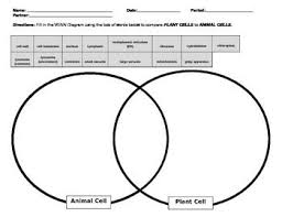 The processes of simple diffusion, facilitated diffusion, and active transport are used in both eukaryotic and prokaryotic cells. Prokaryote Eukaryote Animal Plant Cell Prokaryotes Plant Cell Eukaryotic Cell