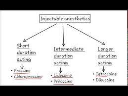 Local Anesthetic Definition Of Local Anesthetic Classification Of Local Dental Videos Anesthetic Pharmacology Nursing