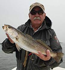 Homosassa Spotted Sea Trout Www Simmsfishing Com Fly Fishing Florida Fish Homosassa