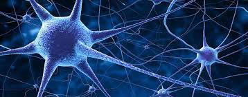 Eine häufige neurologische krankheit, die vorwiegend im jungen erwachsenenalter auftritt. Multiple Sklerose Stammzellen Konnen Die Krankheit Stoppen News Vita 34
