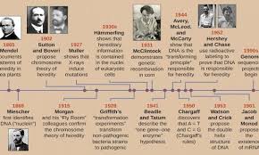 History Of Genetics Timeline And Advances Science Of Health Genetics Heredity Human Genome