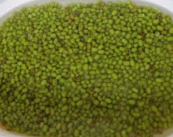 Dua kali tanam padi dan sekali tanam kacang hijau. Ini Cara Paling Mudah Cepat Masak Bubur Kacang Hijau