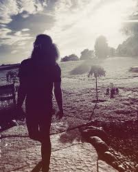 Profile for Larry Gold Frame