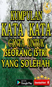 Kata kata mutiara untuk wanita. Kata Kata Cinta Untuk Seorang Istri Yang Solehah For Android Apk Download