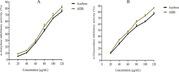 Image result for Bridelia scleroneura