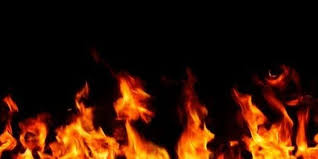 Terdapat berbagai macam kategori hewan mulai dari yang jinak sampai yang liar. Sumber Sumber Energi Panas