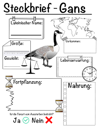 Pin Auf Biologie Sekundarstufe Unterrichtsmaterialien