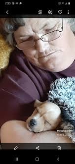 Refurbished dog statue for brother's garden