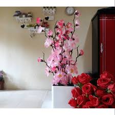 We did not find results for: Bunga Sakura 32 Cm Sakura Palsu Bunga Sakura Plastik Dekorasi Shabby Chic Bunga Sakura Hias Shopee Indonesia