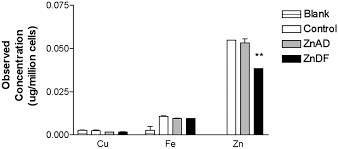 Human android interaction toward social robotics. Low Intracellular Zinc Induces Oxidative Dna Damage Disrupts P53 Nfkb And Ap1 Dna Binding And Affects Dna Repair In A Rat Glioma Cell Line Pnas