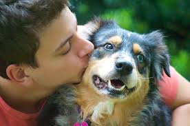 Zak George Will Teach Your Dog to "Stay"