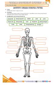 Apa itu rangka manusia dan fungsinya? Sistem Rangka Manusia Interactive Worksheet