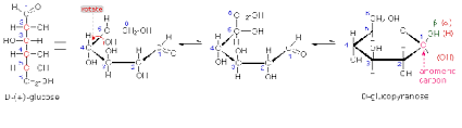 An epimer is a stereoisomer that differs in configuration at any single stereogenic center. What Is Anomeric Carbon Quora