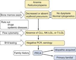 Do you like this video? Acquired Disorders Of Red Cell White Cell And Platelet Production Oncohema Key