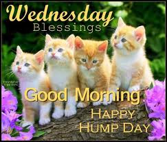 Positive good morning wednesday blessings. 35 Good Morning Wishes On Wednesday