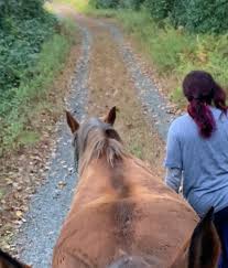 This way of fitting the rider is specific to our saddles. First Look At The Total Saddle Fit Western Perfect Saddle Pad And More Horse Nation
