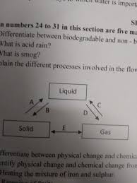 Explain The Different Processes Involved In The Flow Chart