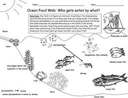Student Activity Sheet Food Web Yahoo Search Results Science Curriculum Middle School Science Marine Biology