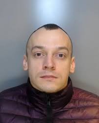 Police seized 576 cannabis plants in raid at Langley Park home