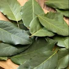 Cengkih atau cengkeh (syzygium aromaticum, syn. Daun Salam Sereh Daun Kunyit Daun Jeruk Jahe Lengkuas Kunyit Kencur Shopee Indonesia