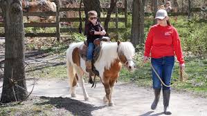 The deanna rose children's farmstead is a family park that replicates the farms of eastern kansas in the early 1900's. Attractions Activities City Of Overland Park Kansas
