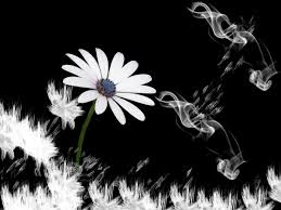 The dream of planting flowers also means you are on the right track so that your financial condition can move to a better time. Dreaming In Color What These 8 Common Colors Symbolize In Dreams Exemplore
