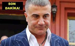 30 ekim 1951, çankaya, ankara), türk emniyet mensubu, siyasetçi ve devlet adamı. Sedat Peker Yurt Disina Kacti Mi