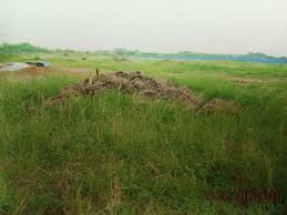 Asal usul taman mahsuri padang serai. Blog Rasmi Sekolah Kebangsaan Taman Mahsuri Sejarah Sekolah